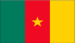 Cameroon Flag