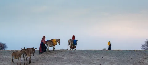 Three people graze animals in an arid region of Chad