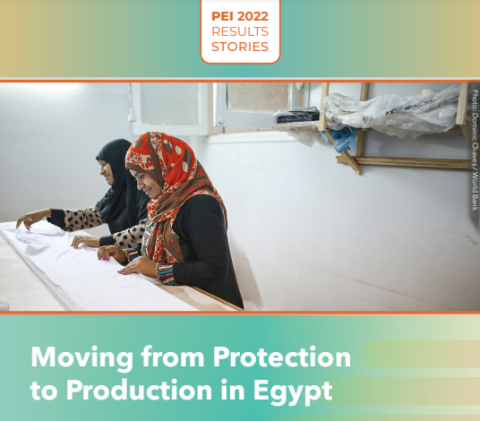 PEI Results Stories 2022: Moving from Protection to Production in Egypt Cover thumnail image